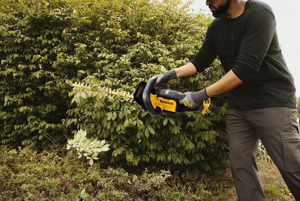 dewalt heggenschaar